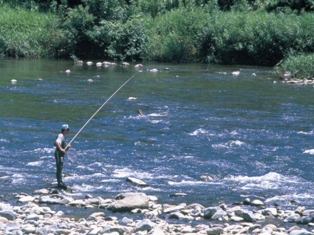 �ŏ㏬����