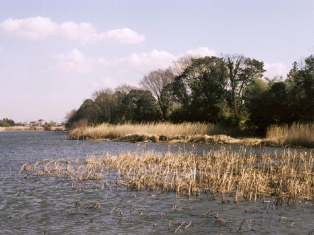 �����L��_�����L��