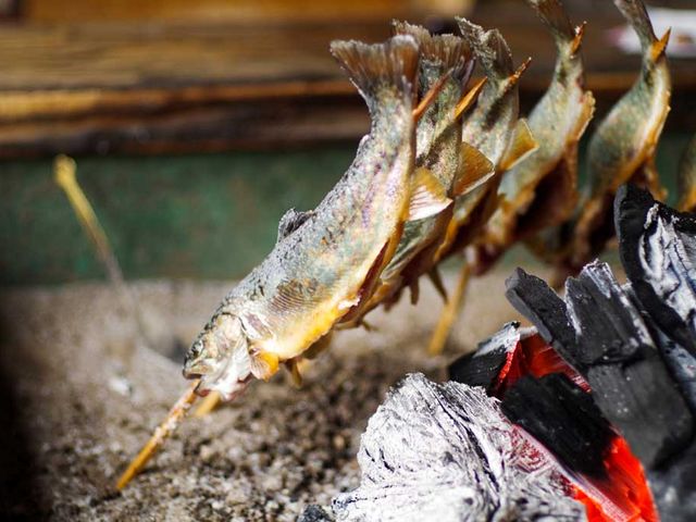 ナラ入沢渓流釣キャンプ場
