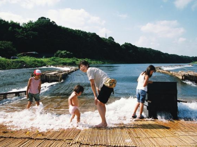 (�L)����̗����̂�Ȃ̎ʐ^1