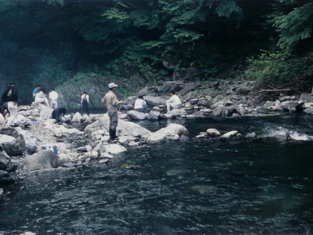 �����k���ޏ�̎ʐ^1