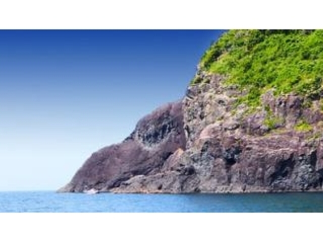 �E�~�b�N�̎ʐ^1