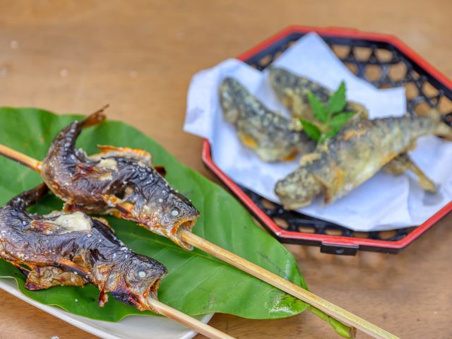 �����Œނ��������́A��i�ł���_��̉� ������