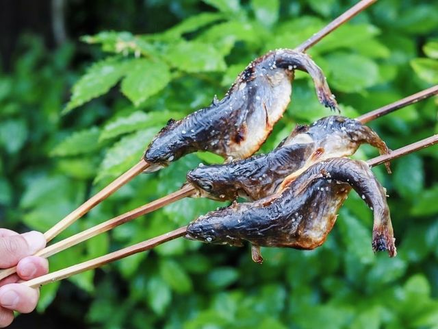 �N�x���Q�̉��Ă��́A�f�ޖ{���̖����y���߂܂��I_��̉� ������