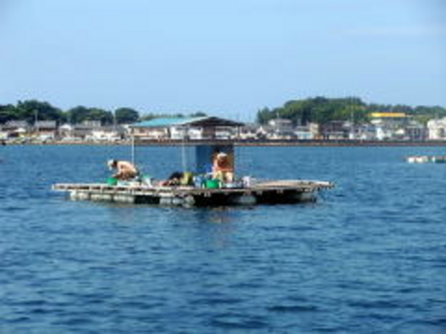 �g�Â��Ȃ����p�Ŕ��ނ�_�����p�ރZ���^�[