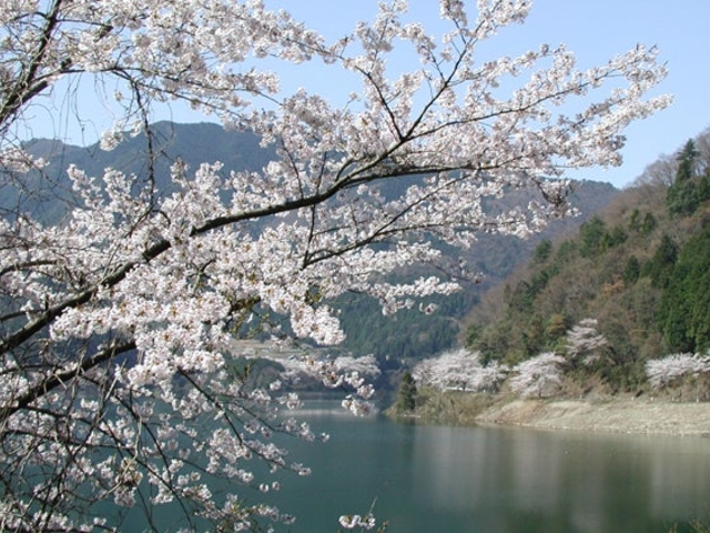 �i�����_���΁i�̌��ό��j