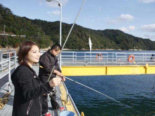 ���ނ蕗�i_�{�Îs�C�m���