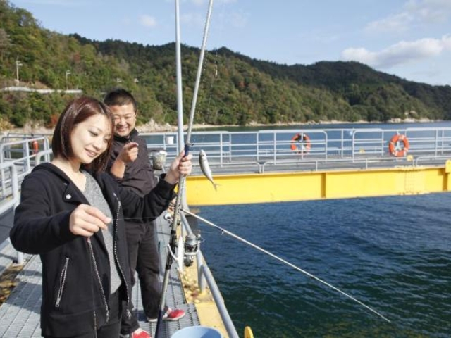 ���ނ蕗�i_�{�Îs�C�m���