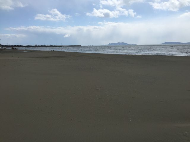 �V���q�������