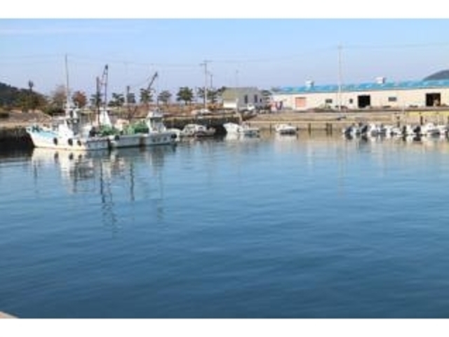 ���l�꒩�s�̎ʐ^1