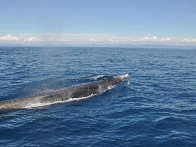 ����z�G�[���E�H�b�`���O�̎ʐ^1