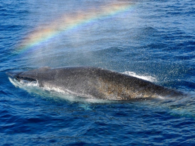 ����z�G�[���E�H�b�`���O