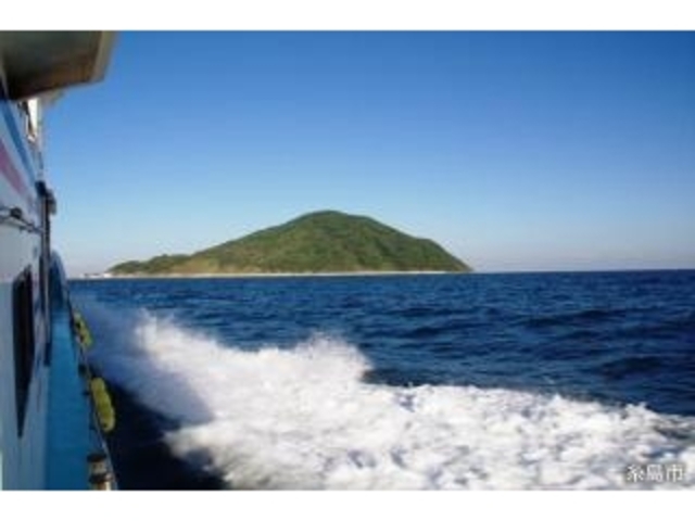 �P��_�P���i�̌��ό��j