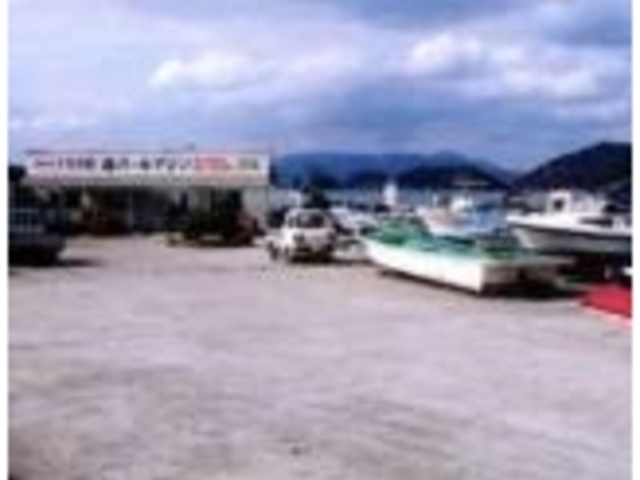 �}�p�[���}����