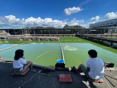 ��x��񂩂��̎ʐ^