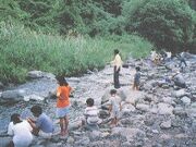 �얓��k�����̎ʐ^1