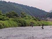 �剁�싙�Ƌ����g���̎ʐ^1