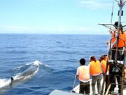 ����z�G�[���E�H�b�`���O�̎ʐ^3