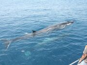 ����z�G�[���E�H�b�`���O�̎ʐ^4