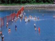 ���X�n�C�݂̎ʐ^1