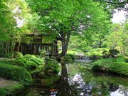 �ق܂�𑢂̎ʐ^3