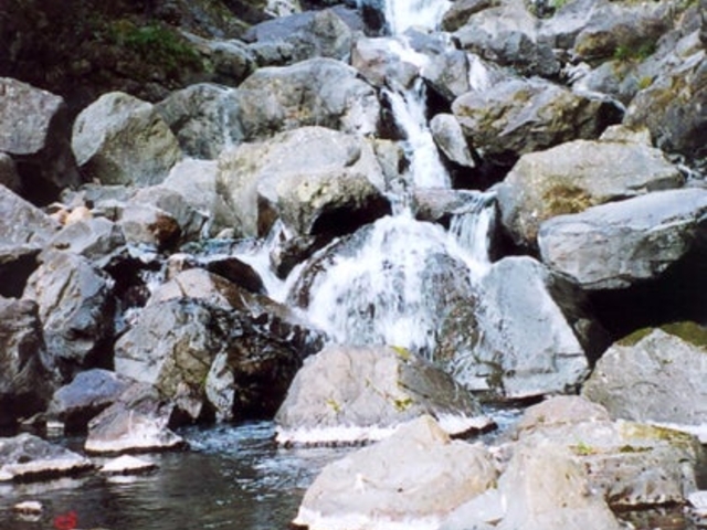 ���˂̑�̎ʐ^1