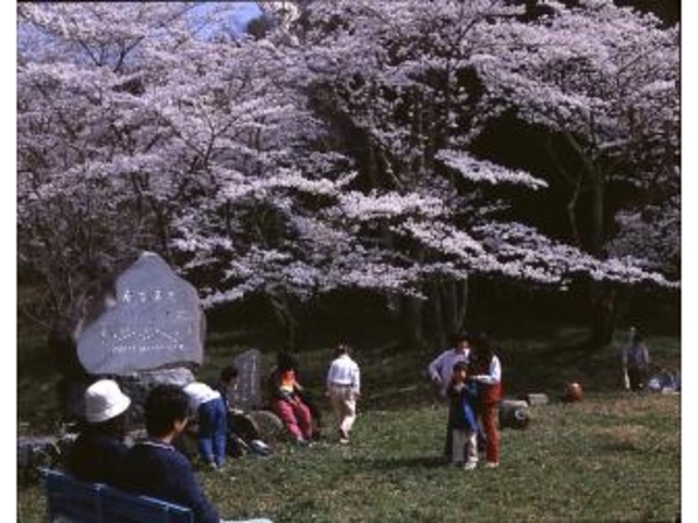 �V���R����_�V���R����