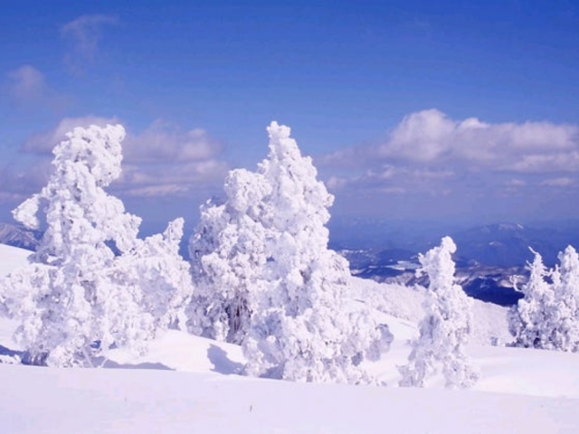 ���X_���X