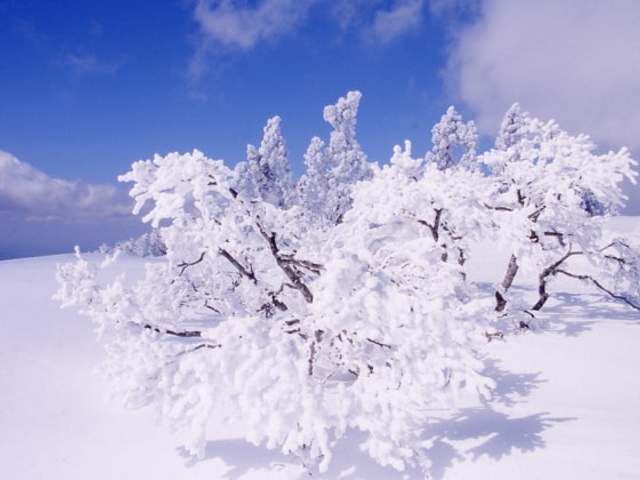 ���X_���X