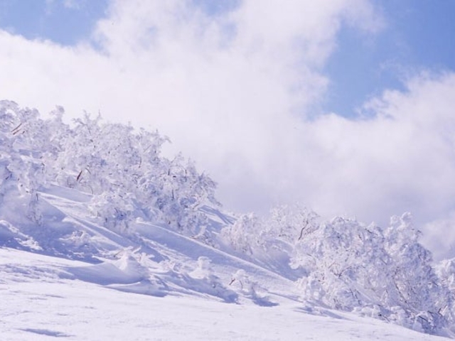 ���X_���X