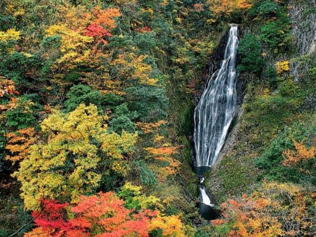 ���Ԃ��̑�_���Ԃ��̑�