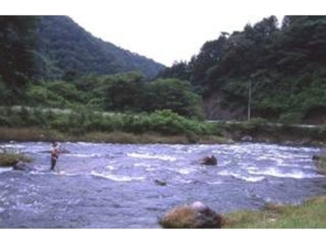 ����싙���̎ʐ^1