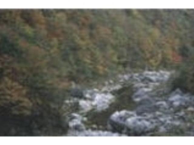 ��R���̍g�t�̎ʐ^1