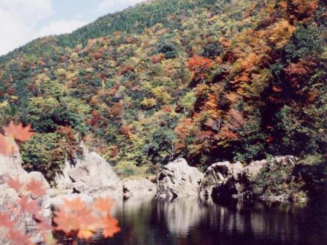 �_�V�����������R�����̎ʐ^1