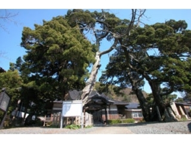 ��o���̃r���N�V�������̎ʐ^1