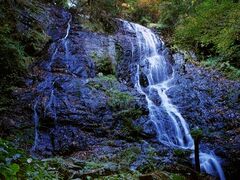 ���P�J�̑�̎ʐ^1