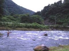 ����싙���̎ʐ^