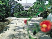 ���D�R�̃c�o�L�̎ʐ^1