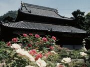 ���ώ��̃{�^���̎ʐ^1