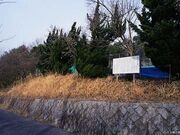 �_�J��퐶����Ղ̎ʐ^2