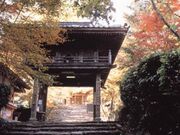 �������^���݂��E�C�`���E�̎ʐ^1