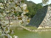 ����Վw�������^������̎ʐ^1