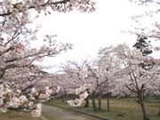 ����Վw�������^������̎ʐ^2