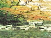 �ؒJ���^���݂��̎ʐ^2