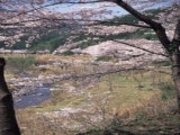 �̖��_���i��{���j�^������̎ʐ^1