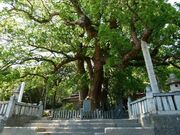 ����_�Ђ̑�N�X�̎ʐ^1