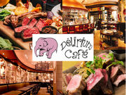 fEJtF [u ԍTJX̎ʐ^1