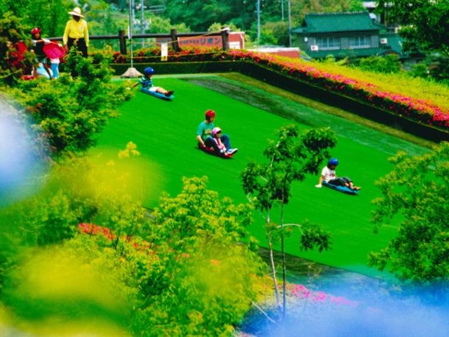 �s���l�G�̐X