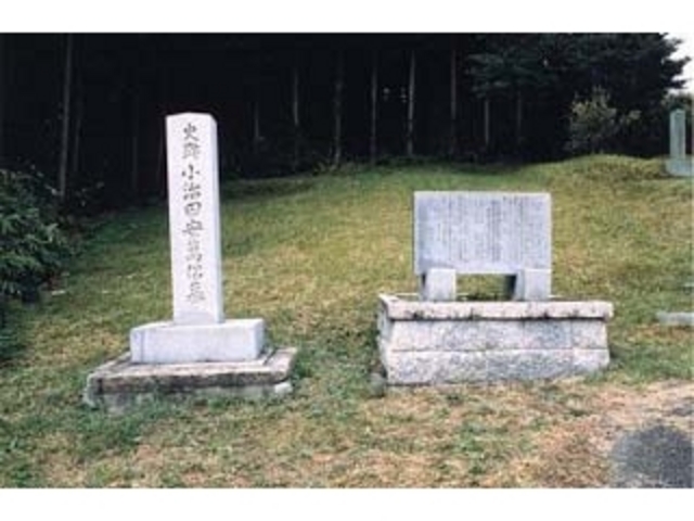 �����c���ݗ���̎ʐ^1