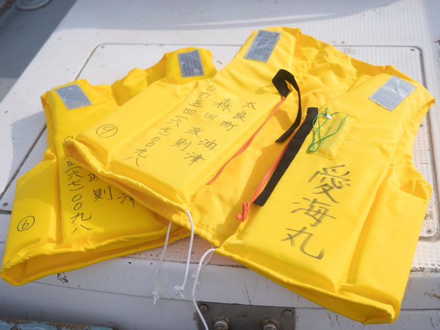 �����t���̃��C�t�W���P�b�g�𒅗p������_���ǒ��V���D�N���u